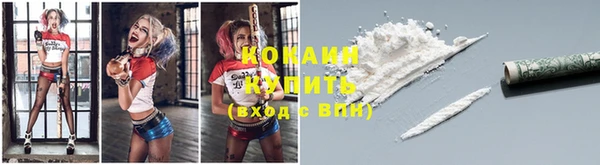 соль ск Богданович