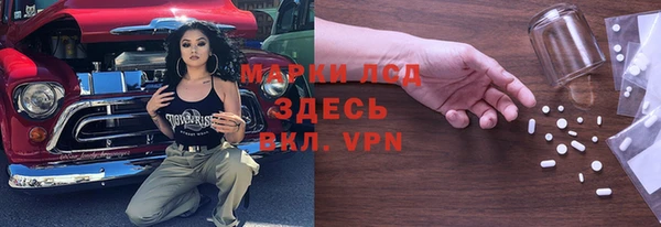 соль ск Богданович