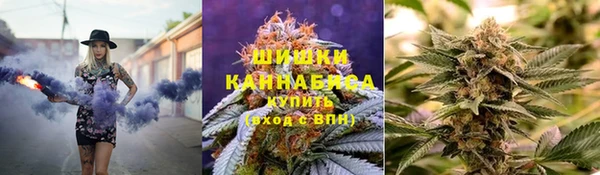 тгк Богородск